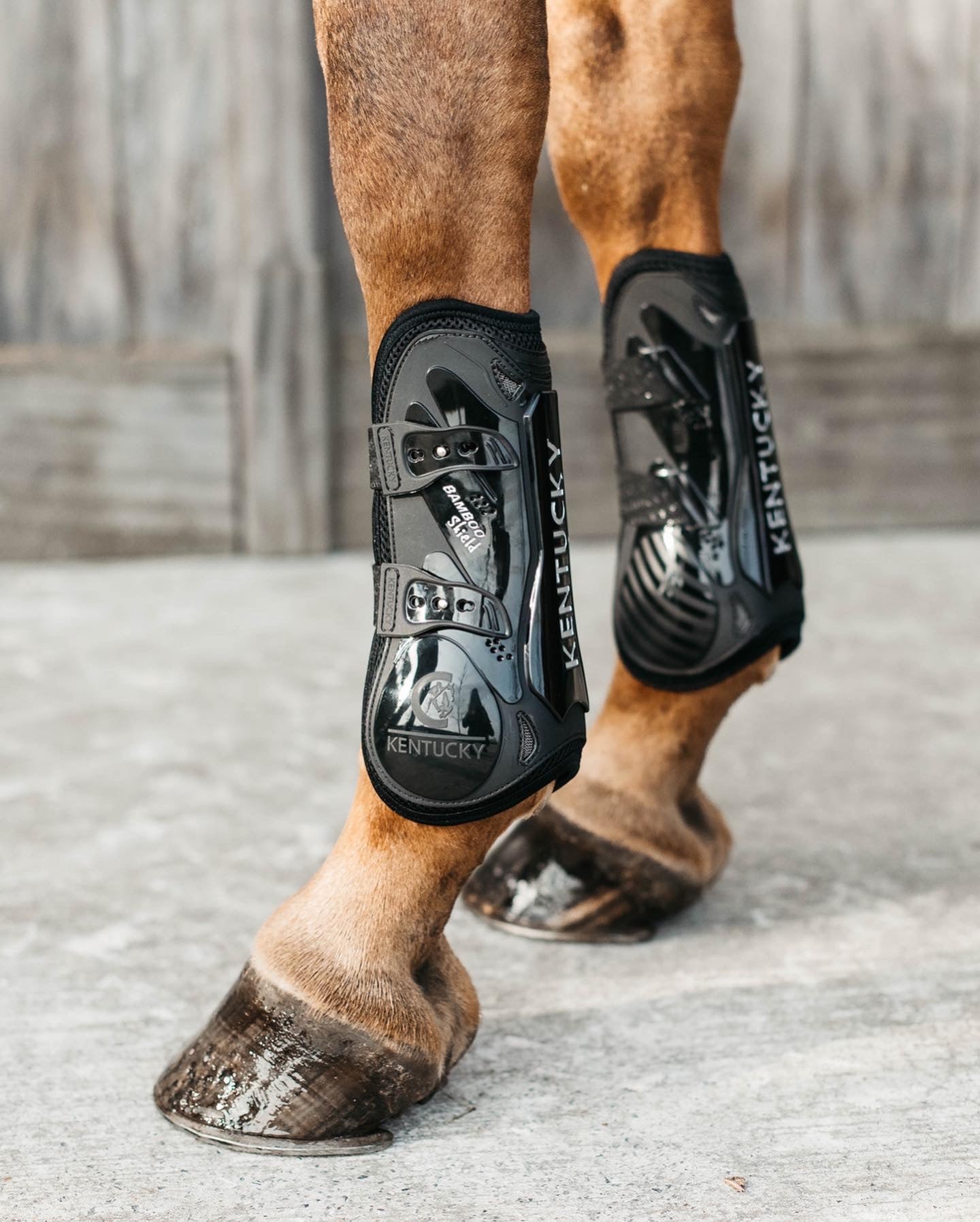 Horse Boots and Leg Wraps