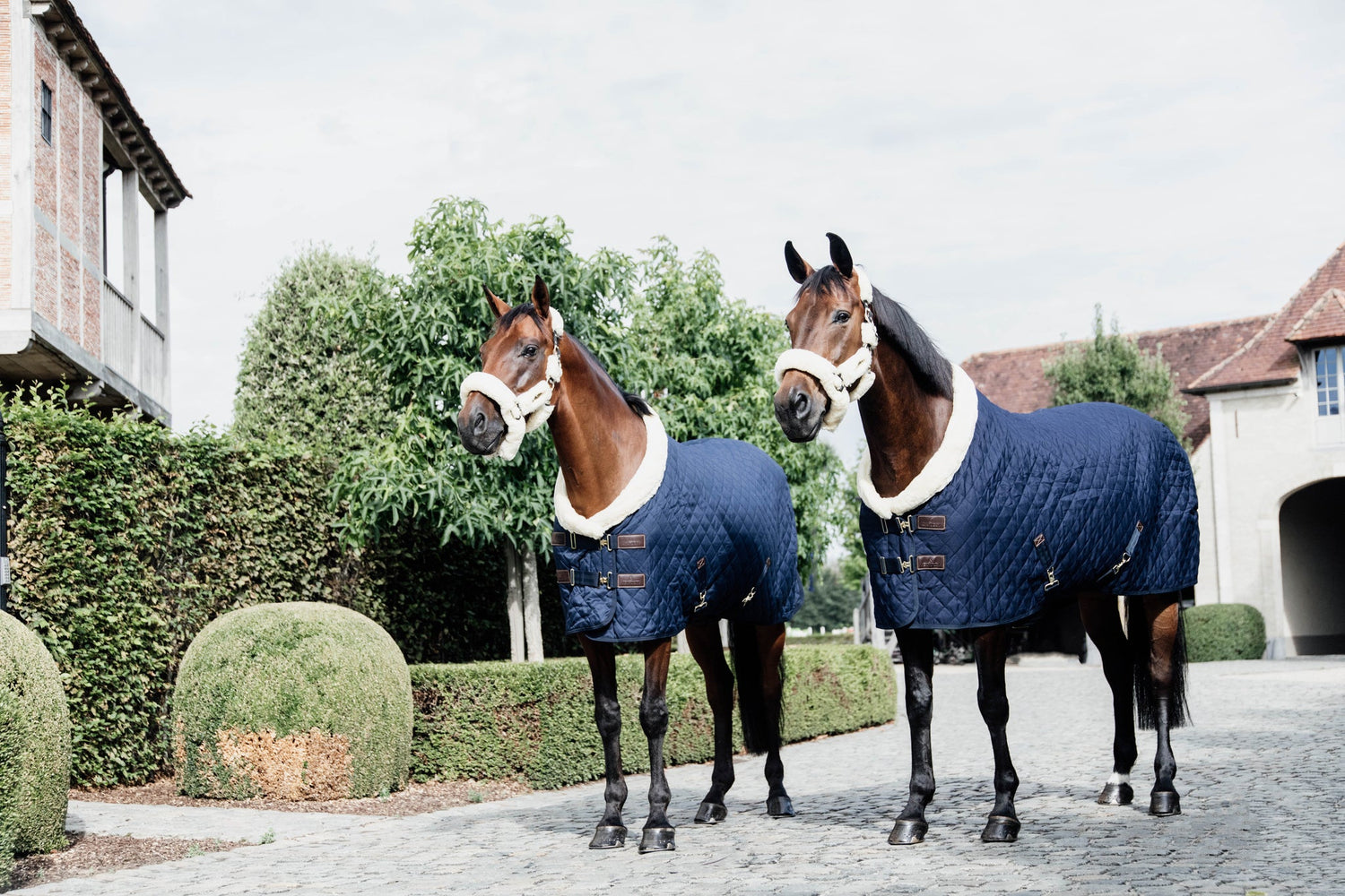 These include Kentucky horsewear including saddle pads, jumping boots, rugs, head collars &amp; grooming. Also saddle pads from Cavalleria Toscana &amp; Equiline. We also stock Equiline bridles, leatherwork and Samshield stirrups. 