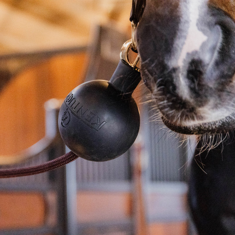 Kentucky Rubber Ball Wall and Lead Protector