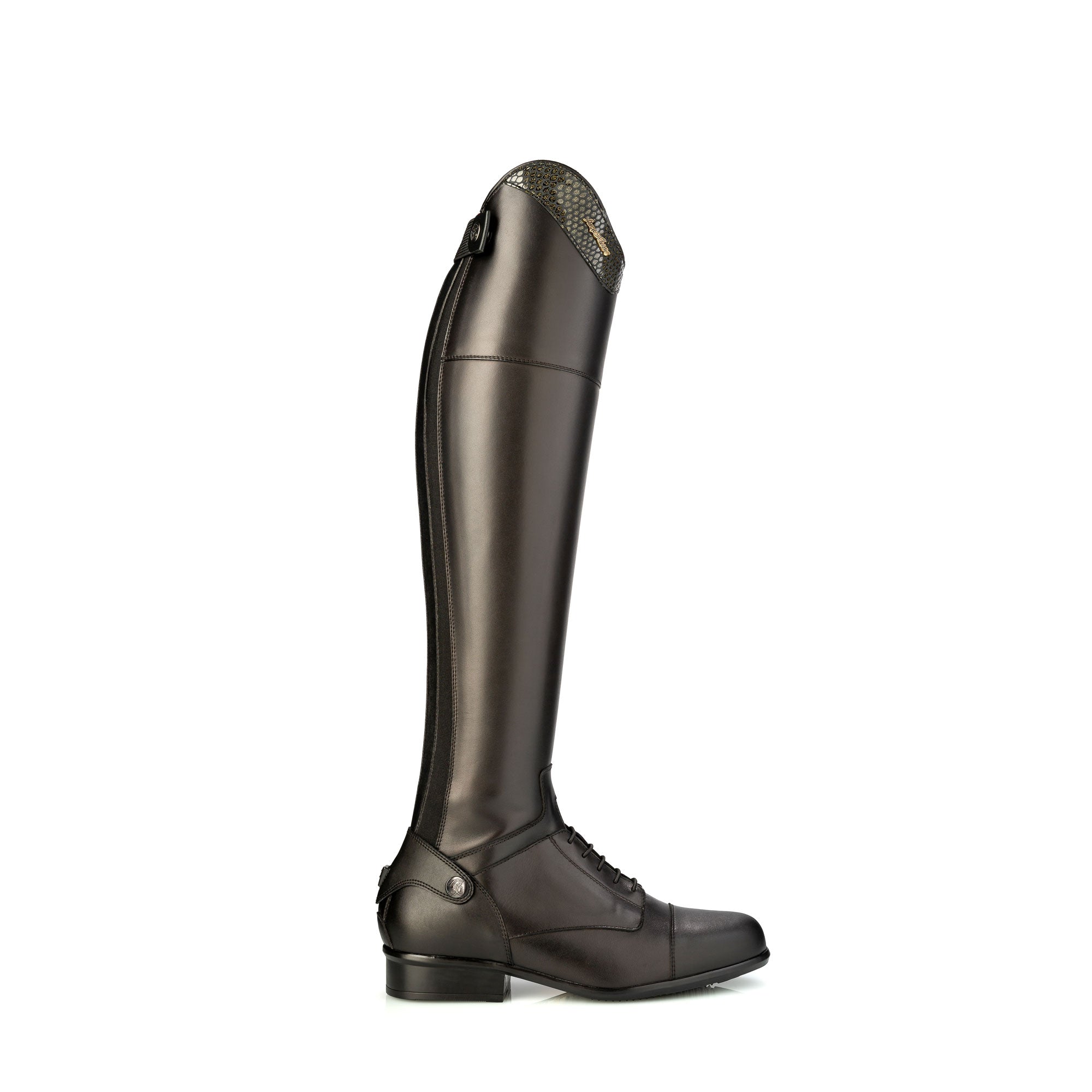 Sergio Grasso Evolution Riding Boots - Top Evo 8 Gold Snake
