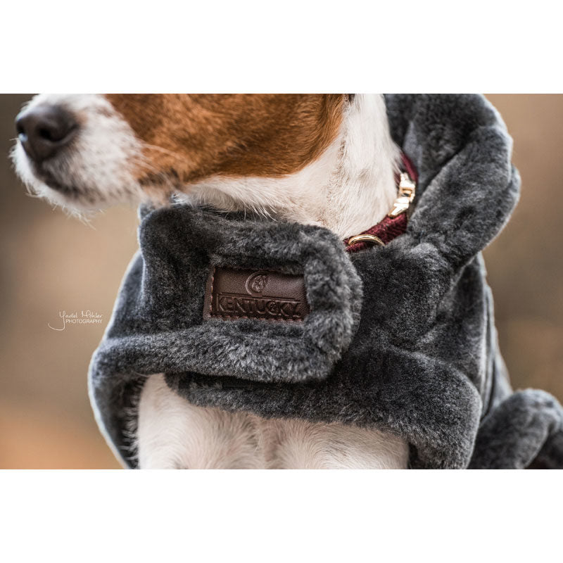Kentucky Faux Fur Dog Coat