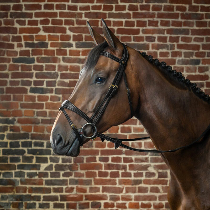 Dy’on Collection Anatomic Flash Noseband Bridle