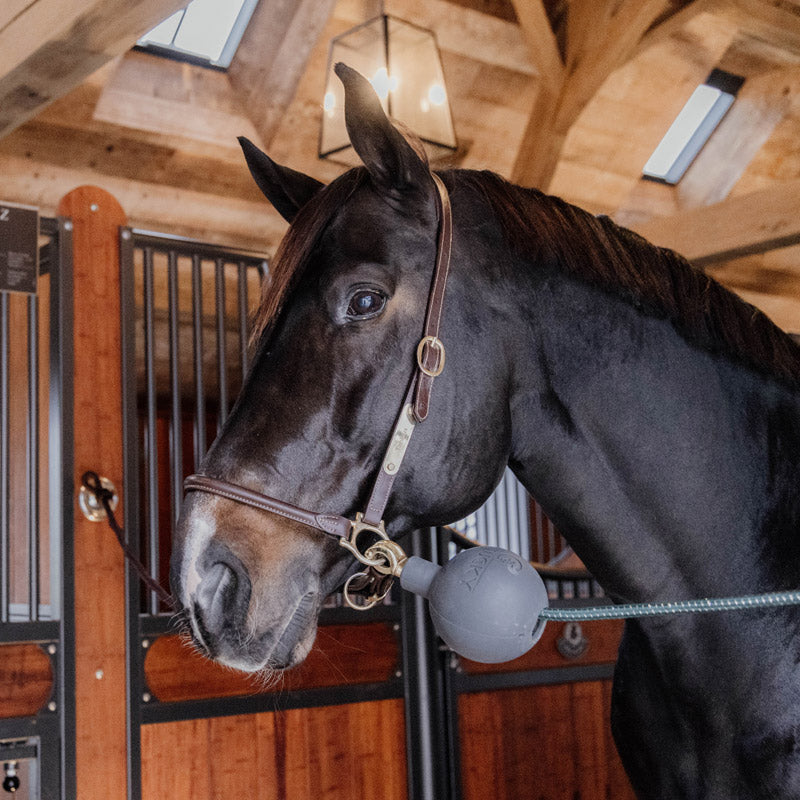 Kentucky Rubber Ball Wall and Lead Protector