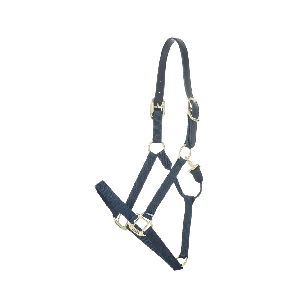 Kentucky Safety & Pasture Halter Breakaway