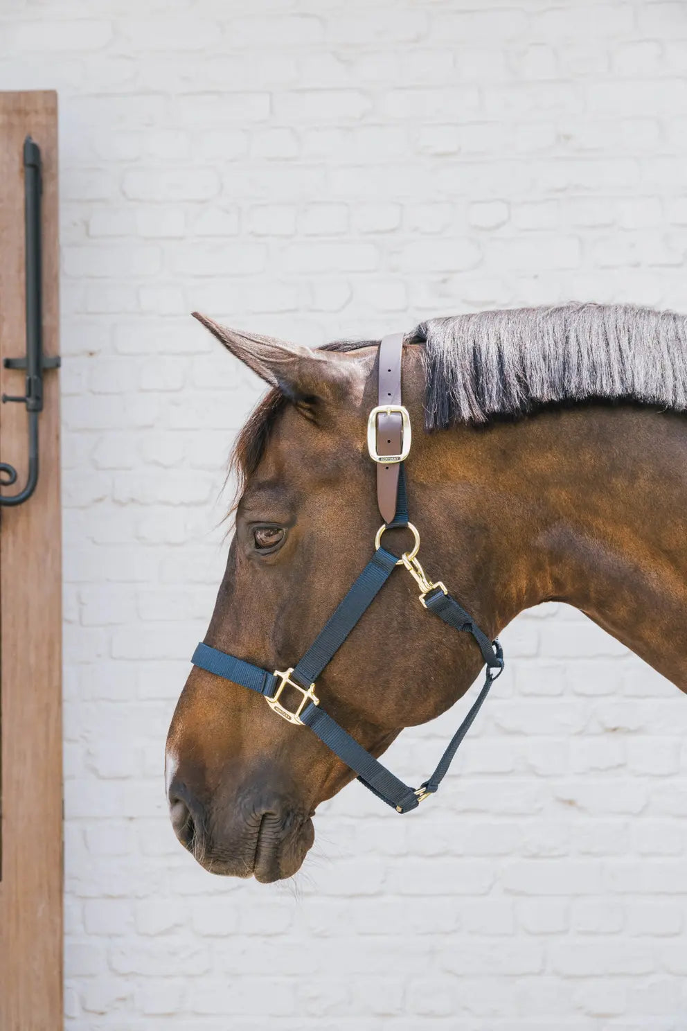 Kentucky Safety & Pasture Halter Breakaway
