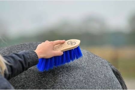 Trust One Brush Medium