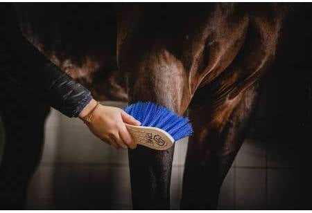 Trust One Brush Medium