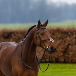 TRUST Oslo Mexican Leather Bridle