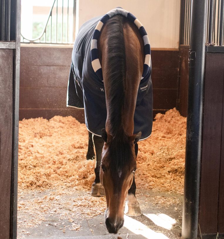 Horseware Newmarket Cosy Stable rug 200g