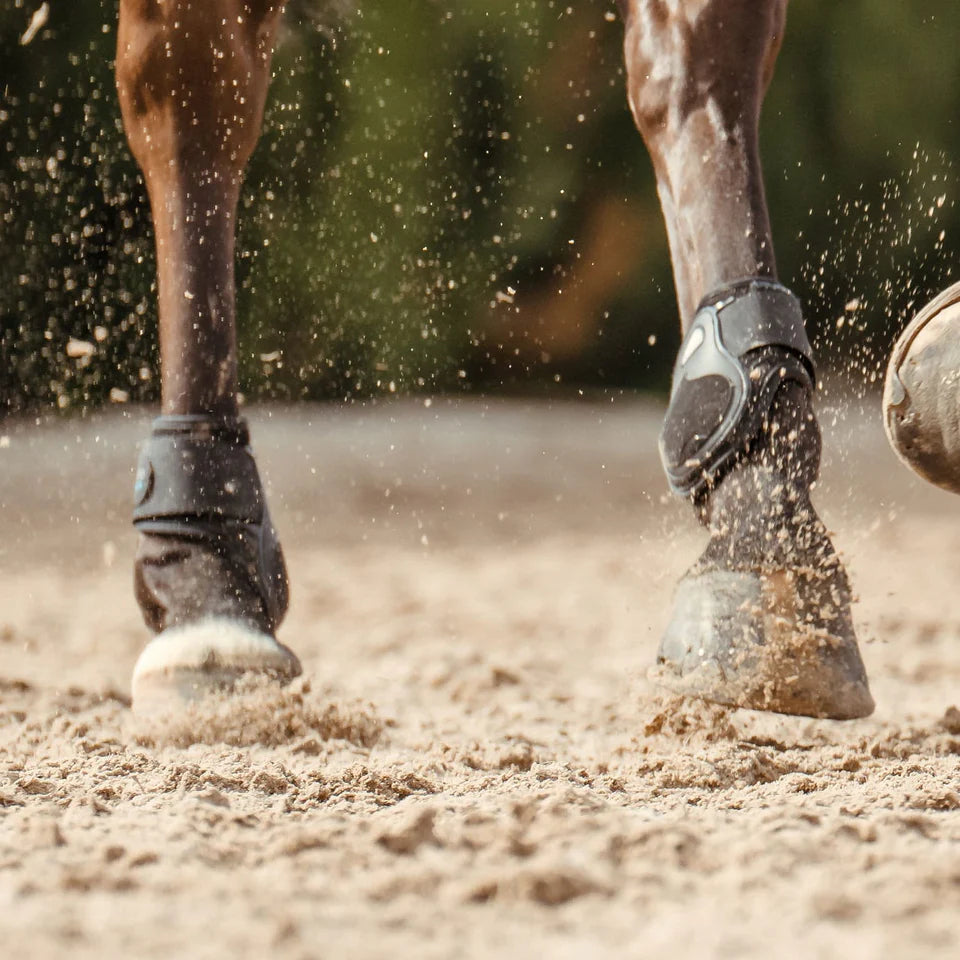 Veredus Carbon Gel Vento Fetlock Boots