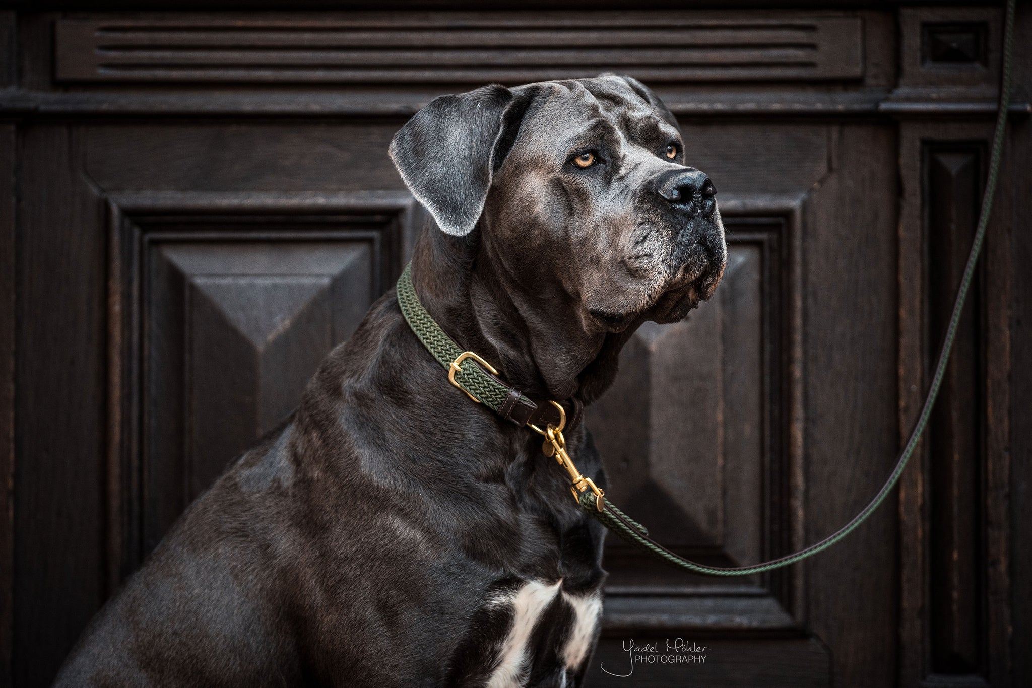 The Kentucky Plaited Nylon Dog lead is made of artificial leather on the back and the buckle / end (100% animal and vegan friendly) and has a nylon braided design on the face.