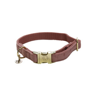 The Kentucky Velvet dog collar is extremely soft yet durable giving a touch of luxury for your dog. these collars are adjustable so great for a growing dog. The collar has a gold clip backless with the Kentucky dog logo and a gold tag for you to engrave. matching leads available.