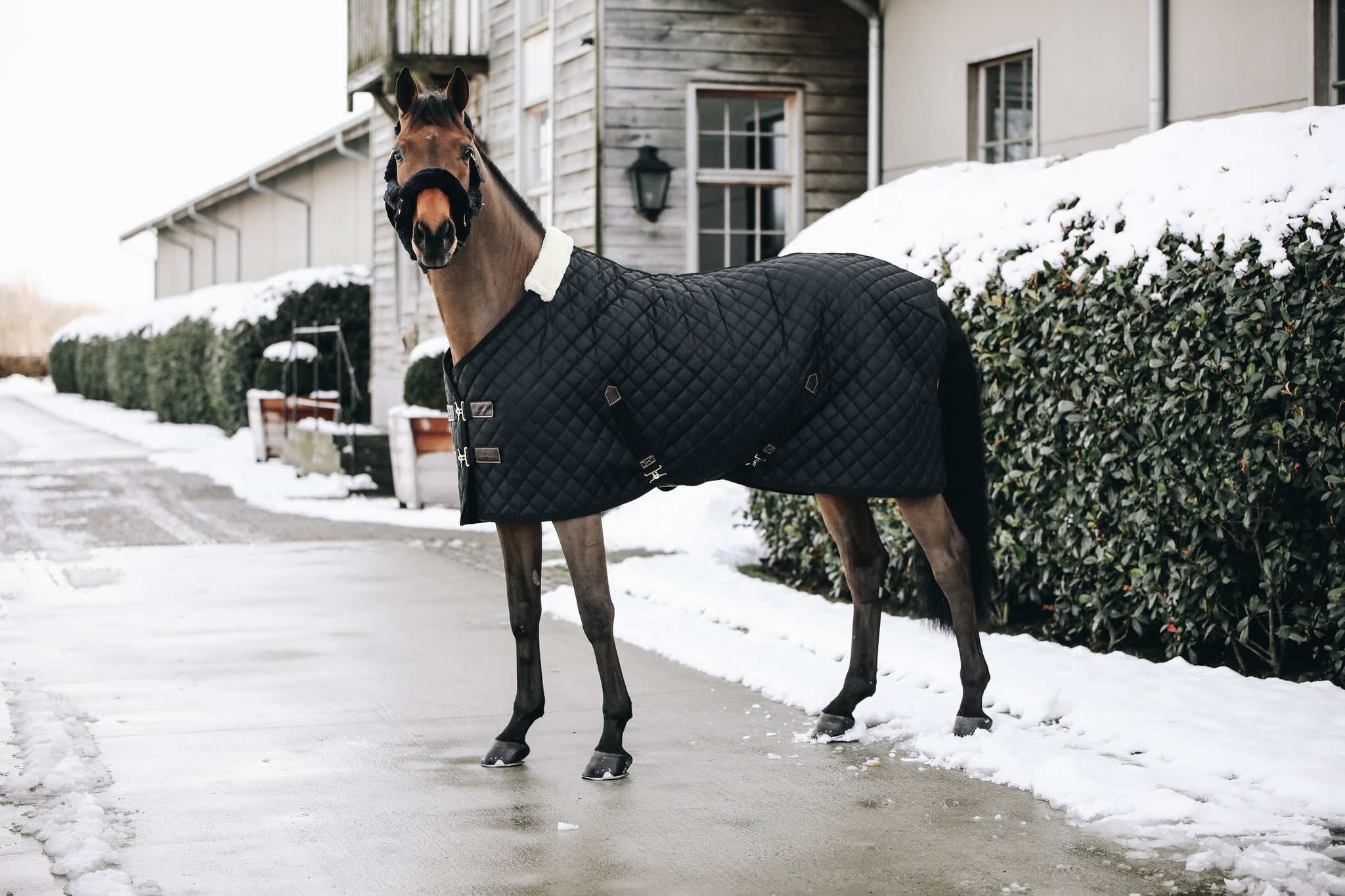 Kentucky Horsewear Stable Rug 400g The Kentucky Stable Rug 400g is a stand out product from Kentucky Horsewear from their latest range. For any horse this is a very comfortable rug, a must-have for clipped horses or horses with sensitive skin. A lovely product, it is able to offer great warmth and comfort and it’s also a very easy to use rug for any rider. As well as being able to offer warmth, it is also highly breathable thanks to the combination of the materials.