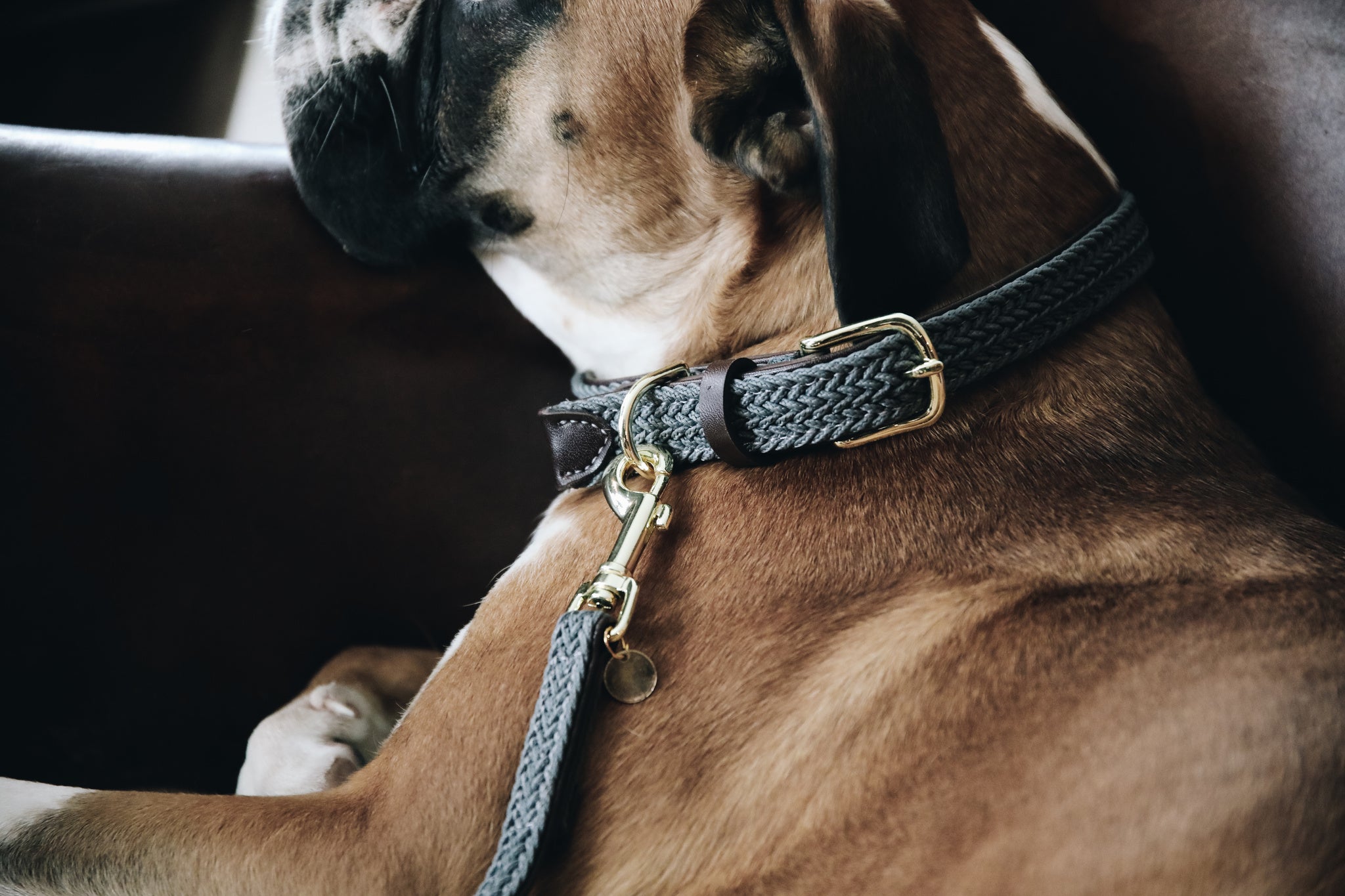 The Kentucky Plaited Nylon Dog Collar is made of artificial leather on the back and the buckle / end (100% animal and vegan friendly) and has a nylon braided design on the face. The dog collar features a gold buckle and ring to attach to the matching Kentucky Plaited Nylon Dog Lead. The small hanger with Kentucky Dog Paw logo can be engraved with your dog&
