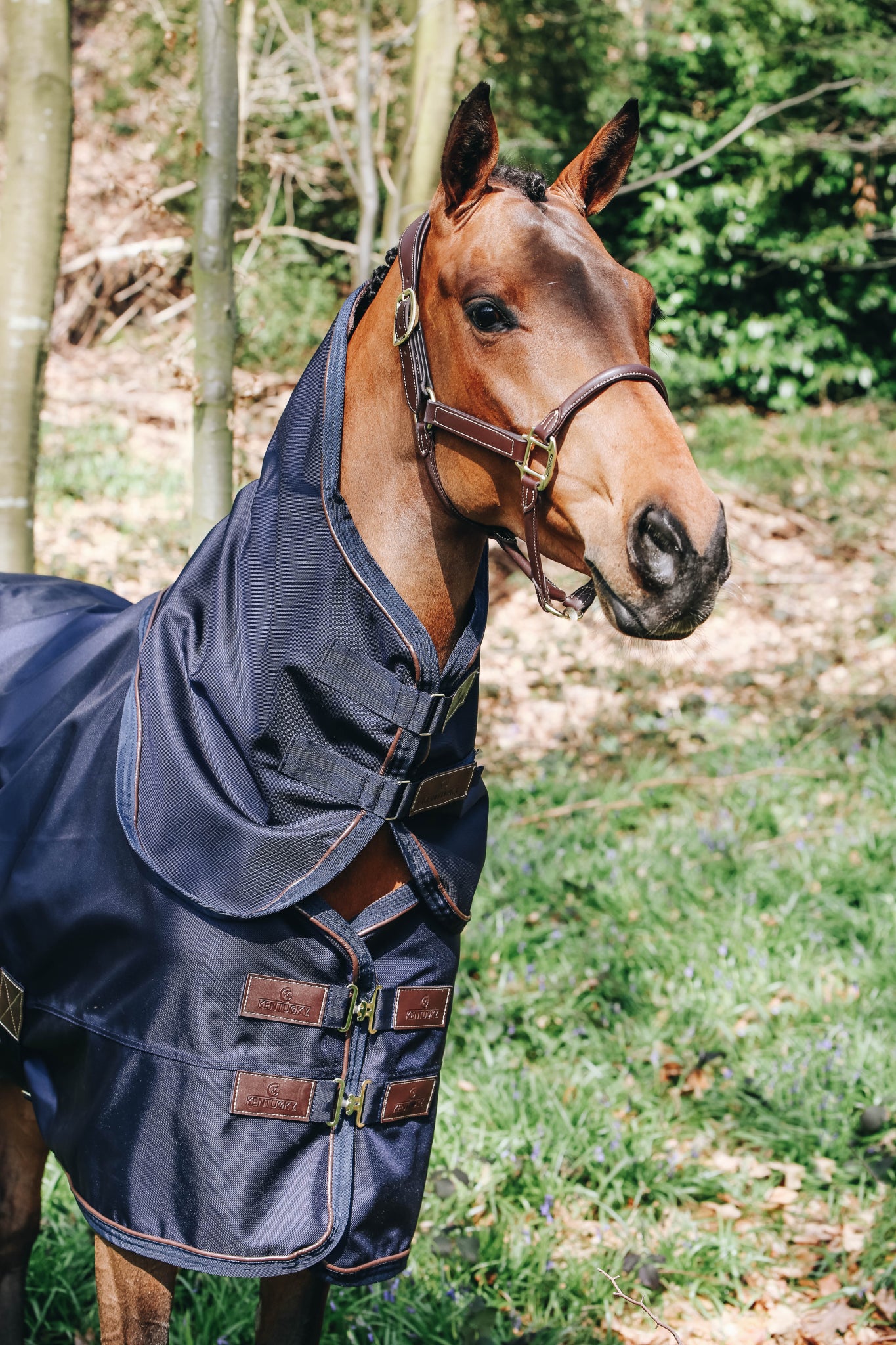 The Kentucky Neck All Weather 150g can be used in combination with their Turnout Rug All Weather.
