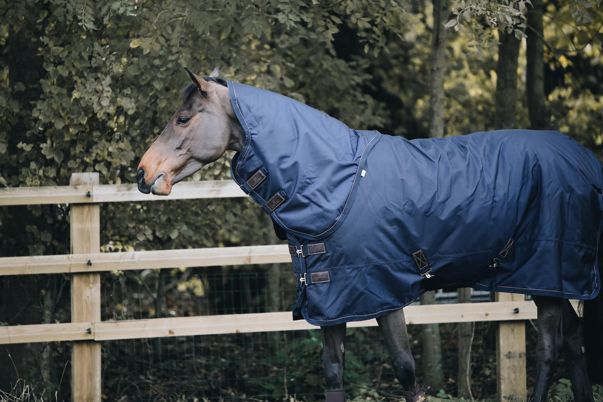 The Kentucky Neck All Weather 150g can be used in combination with their Turnout Rug All Weather.