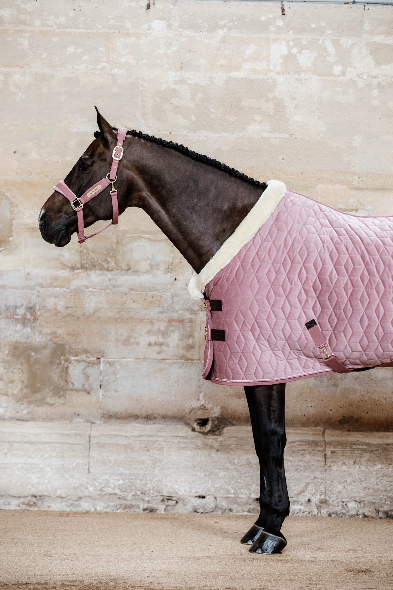 Kentucky Pink Velvet Show Rug