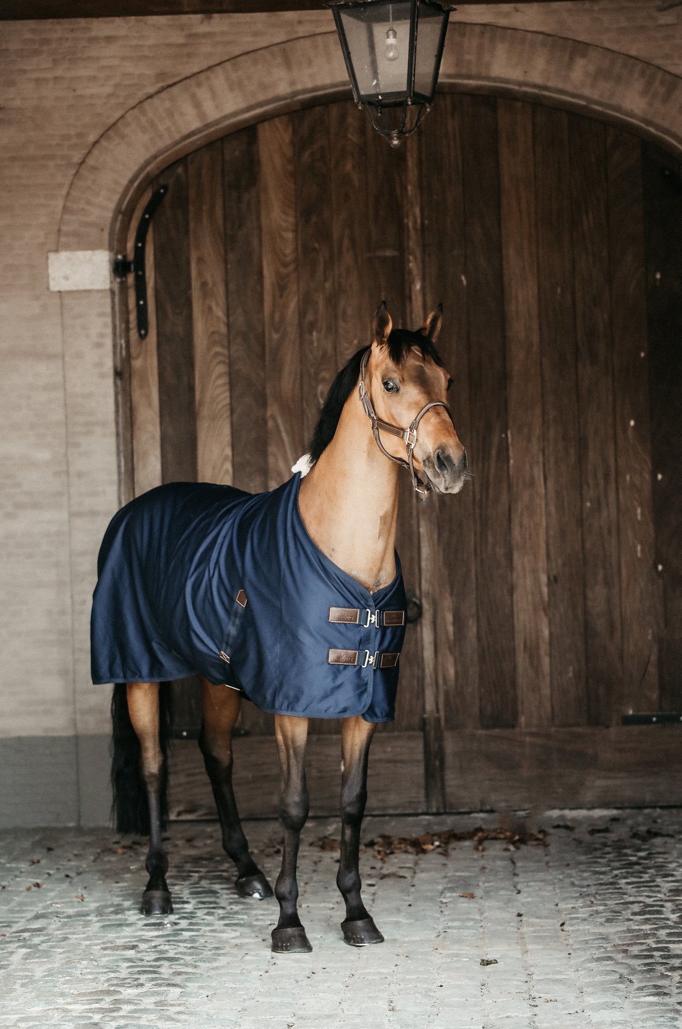 The Kentucky cotton sheet is perfect as the weather gets warmer. The Cotton Sheet is a practical lightweight luxury horse rug that will keep your horse comfortable during the summer months. Fitted with Kentucky’s soft artificial sheepskin which is added to the wither only which provides extra comfort and protection for your horse.
