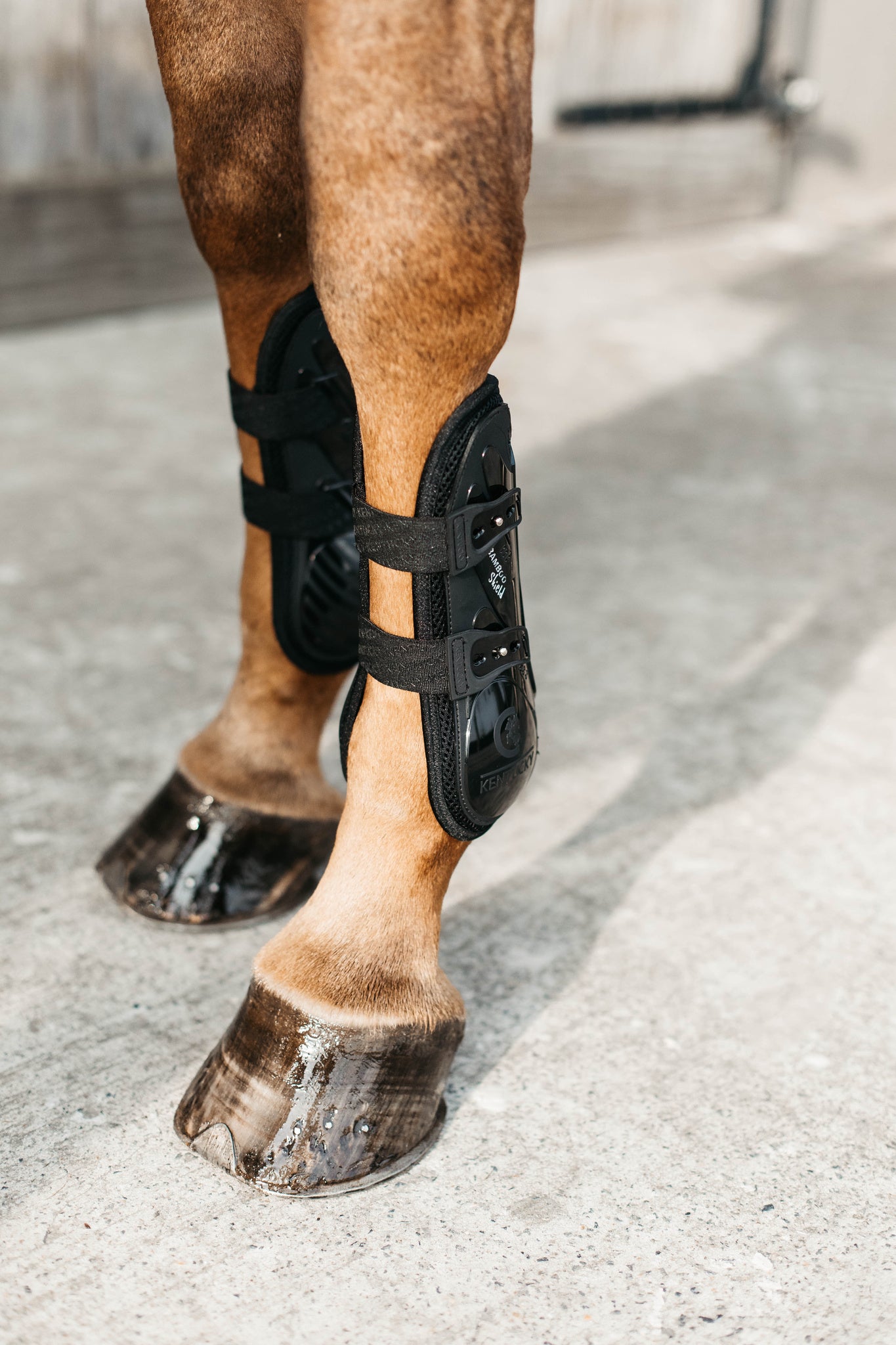 Kentucky Vegan Tendon Boots Bamboo Shield with Elastic fastenings are now available following years of research and development. The Kentucky Bamboo Sheild Supersedes the already very popular Kentucky Tendon Boot.   Bamboo has the best tensile strength and also avoids penetration of sharp objects.  Thanks to great results from testing, the bamboo shield is now used to protect the horse’s tendon area.