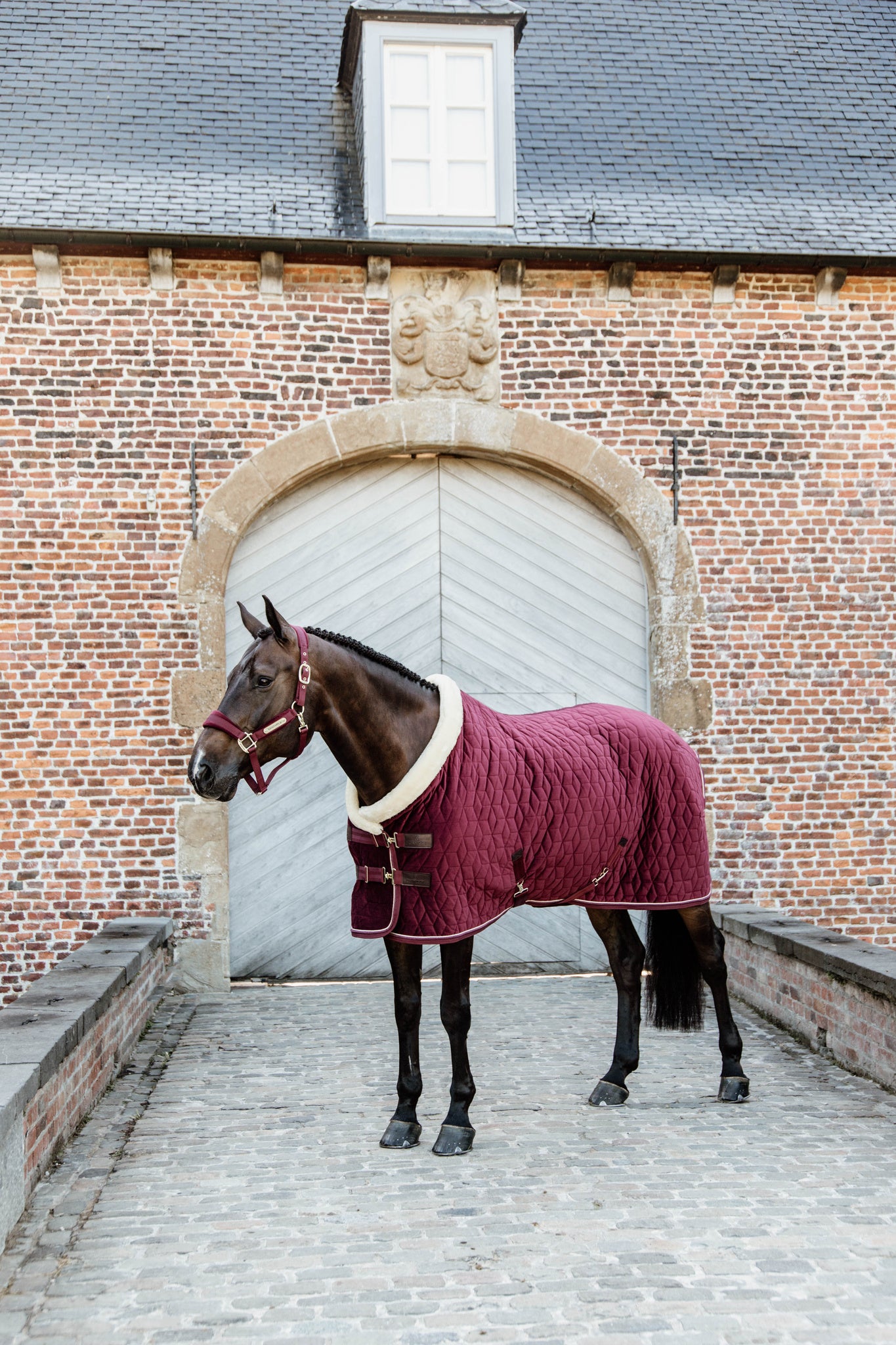 The Kentucky Velvet show rug in the shade Bordeaux. This rug is made with 160g filling, and lined with faux rabbit fur lining to give your horse the perfect shiny coat. Finished with a cream sheepskin binding round the front of the rug, to help prevent rubbing on the chest, neck and mane.