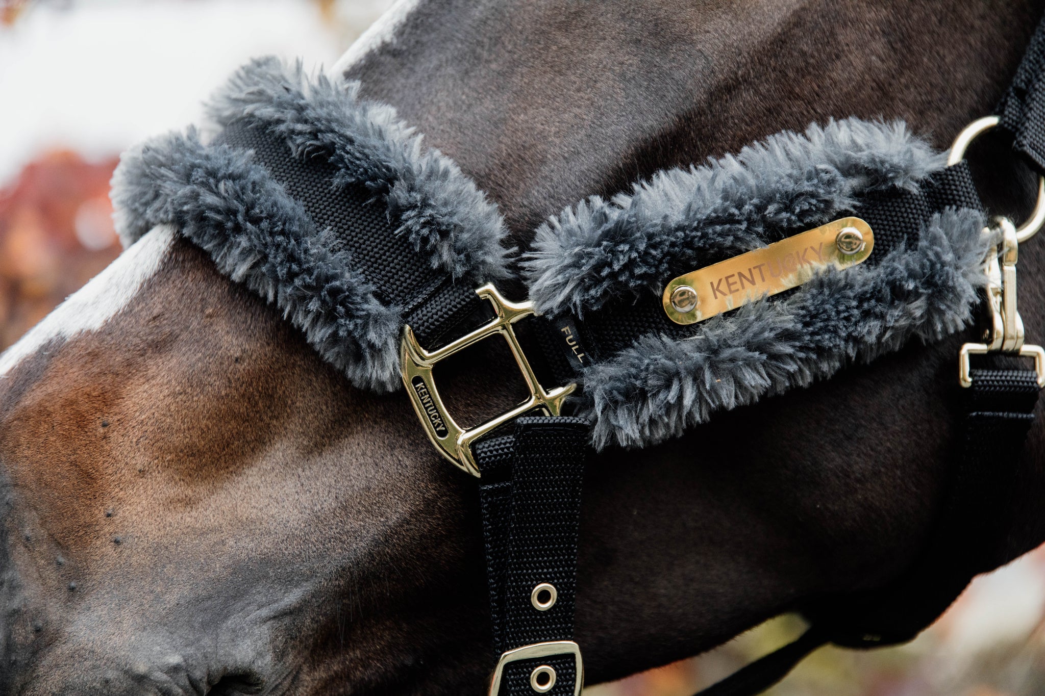 Nylon Sheepskin Halter with artificial sheepskin is for daily use. The halter is made of verystrong nylon in combination with our new artificial sheepskin which is attached directly onto the nylon.