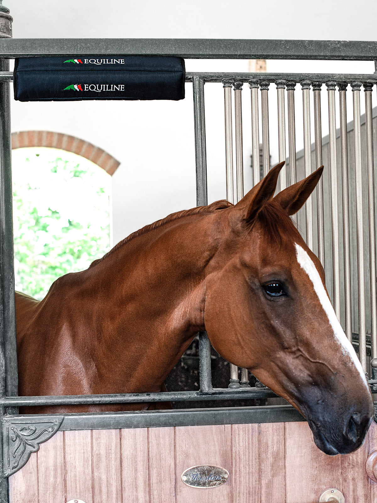 Protect your horse in their stable either at home and away with the Equiline padded head protector.