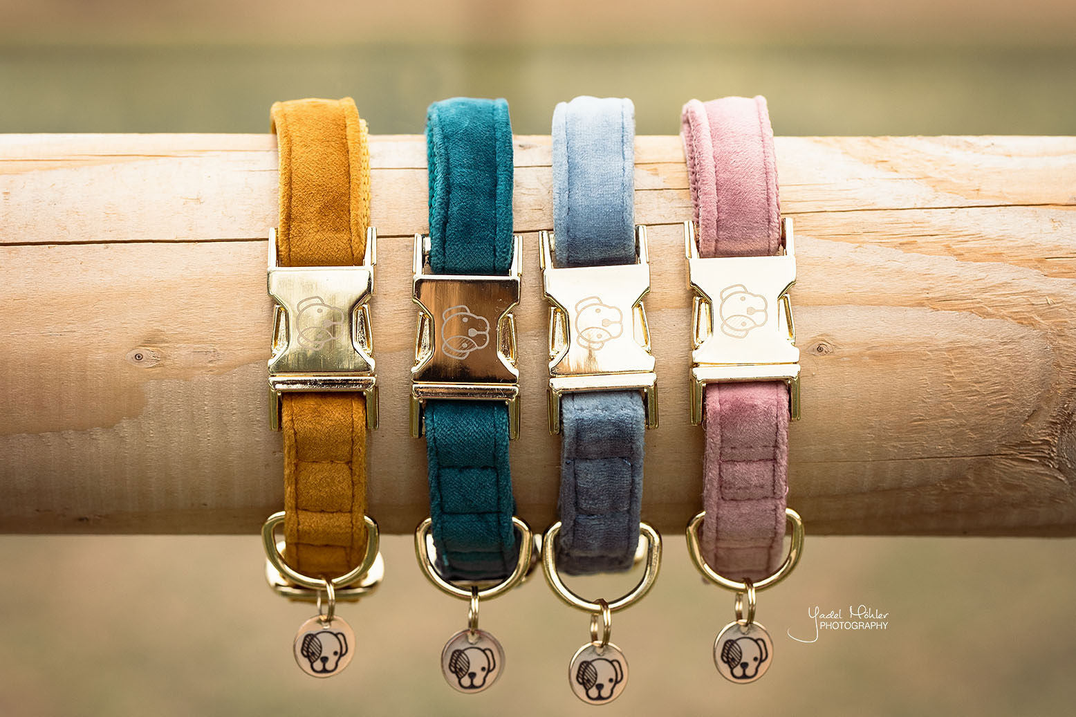 The Kentucky Velvet dog collar is extremely soft yet durable giving a touch of luxury for your dog. these collars are adjustable so great for a growing dog. The collar has a gold clip backless with the Kentucky dog logo and a gold tag for you to engrave. matching leads available.