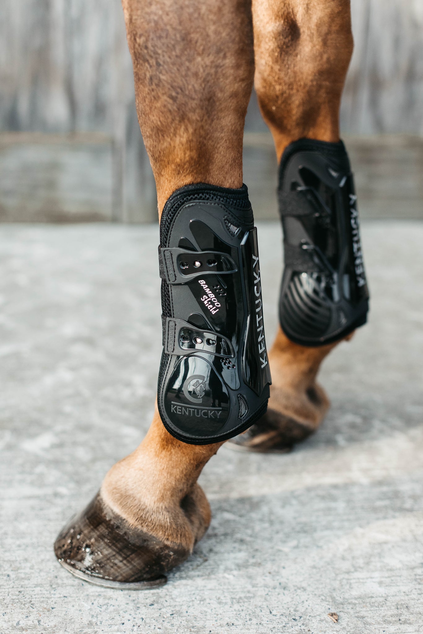 Kentucky Vegan Tendon Boots Bamboo Shield with Elastic fastenings are now available following years of research and development. The Kentucky Bamboo Sheild Supersedes the already very popular Kentucky Tendon Boot.   Bamboo has the best tensile strength and also avoids penetration of sharp objects.  Thanks to great results from testing, the bamboo shield is now used to protect the horse’s tendon area.