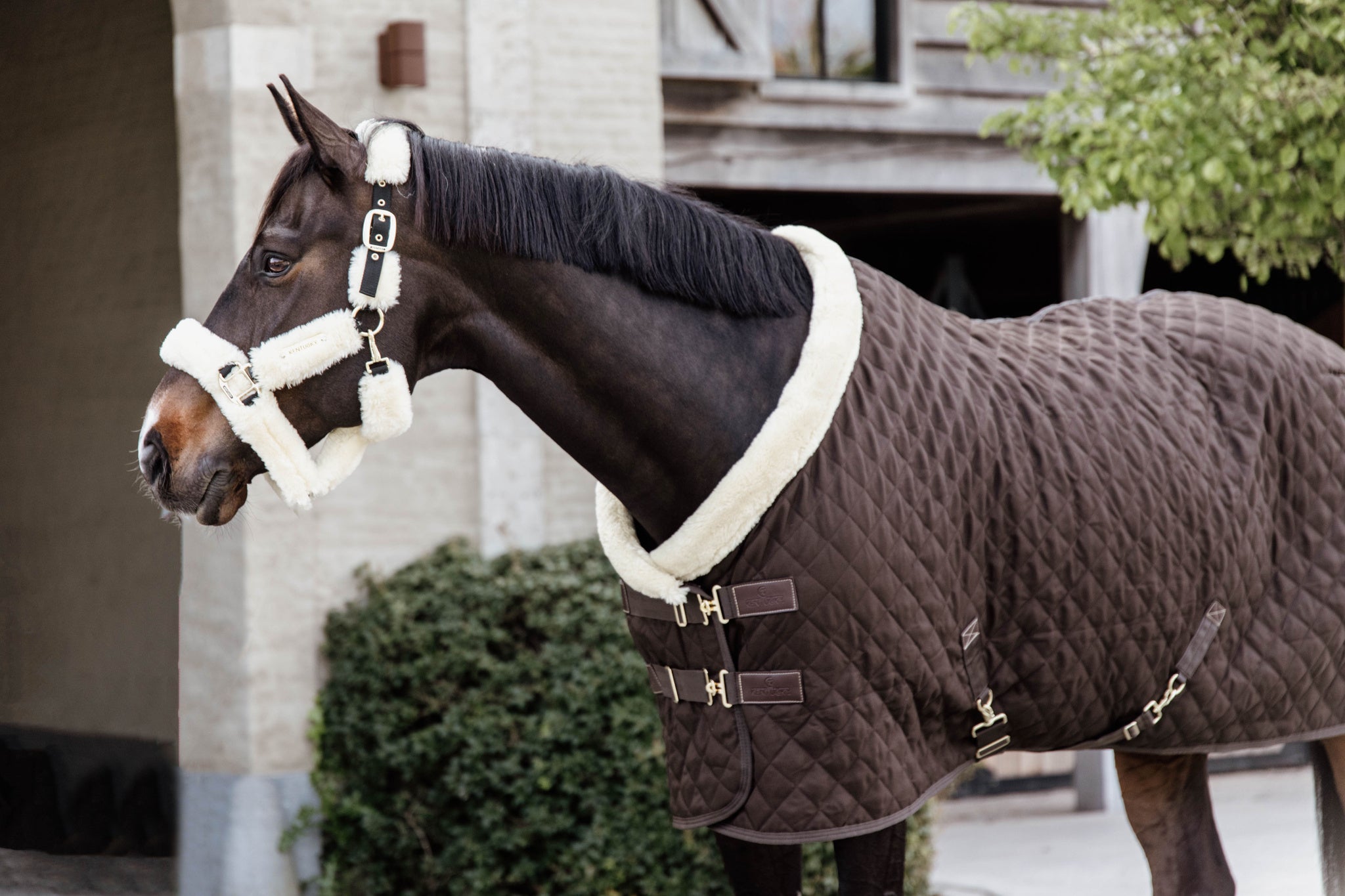 The Show Rug is one of Kentucky’s most iconic products. The rug was designed to have an easy and comfortable rug on competitions. Therefore, the rug is easily adjustable to the needs of your horse. The sophisticated look of the show rug will catch everyone’s eyes at competitions. As the Show Rug also serves as a stable rug, you can unload your horse without worrying about changing rugs.