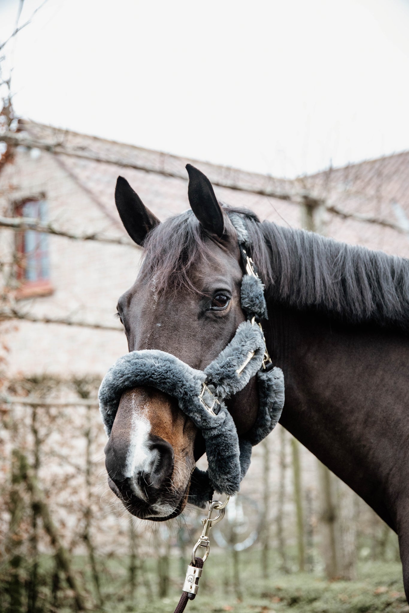 The Kentucky Horsewear Sheepskin Shipping Halter is an extremely soft and comfortable halter mainly used during transportation.
