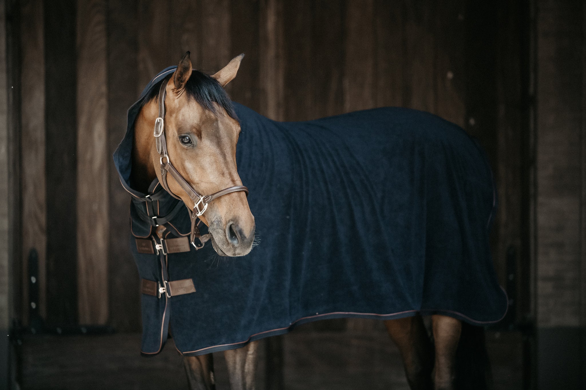 The Kentucky Horsewear Towel Rug is a comfortable and super absorbent towel for horses. The Horse Towel is the perfect rug to dry your horse extremely fast after training and also bathing.