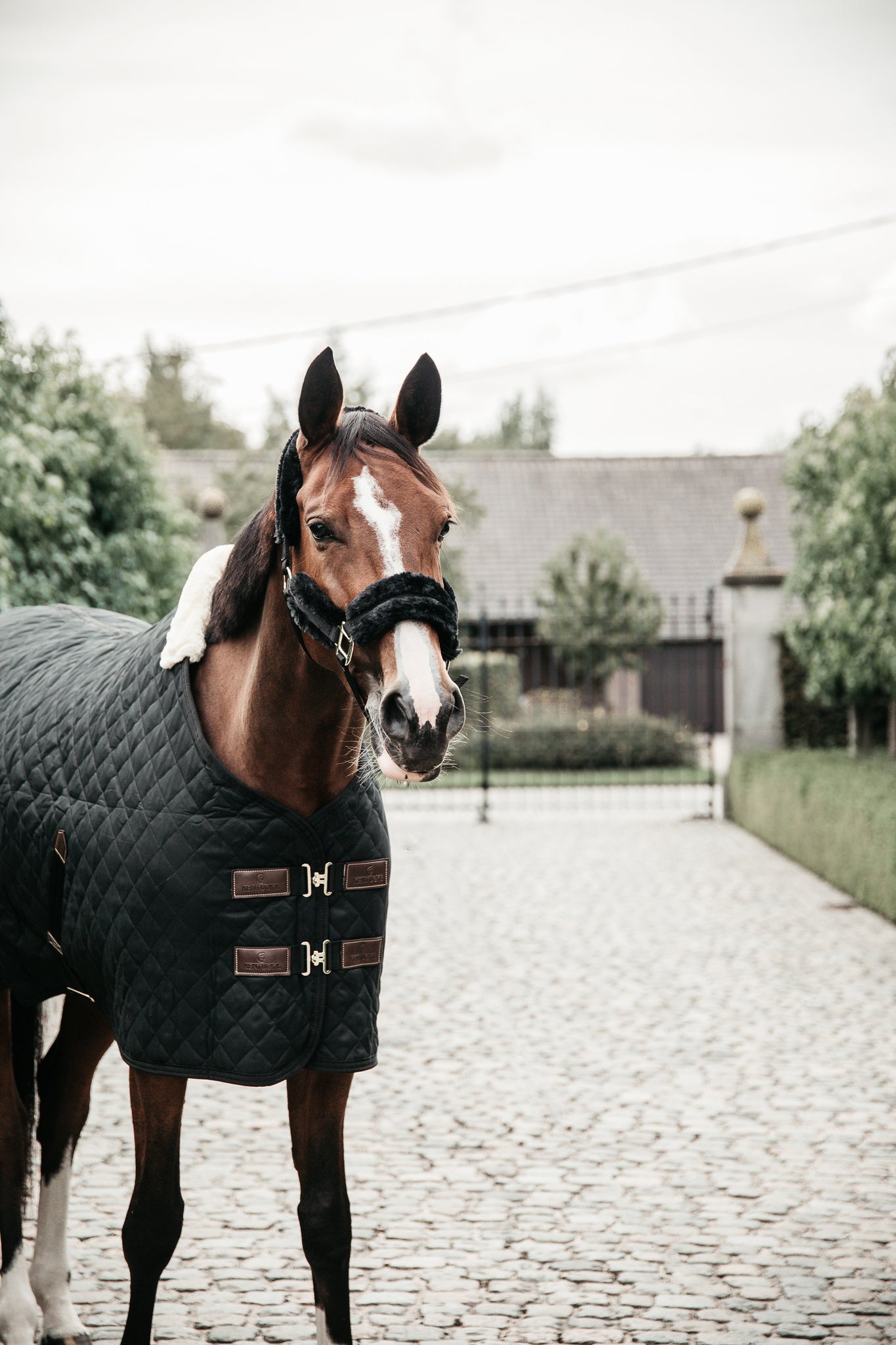 Kentucky Horsewear Stable Rug 400g The Kentucky Stable Rug 400g is a stand out product from Kentucky Horsewear from their latest range. For any horse this is a very comfortable rug, a must-have for clipped horses or horses with sensitive skin. A lovely product, it is able to offer great warmth and comfort and it’s also a very easy to use rug for any rider. As well as being able to offer warmth, it is also highly breathable thanks to the combination of the materials.