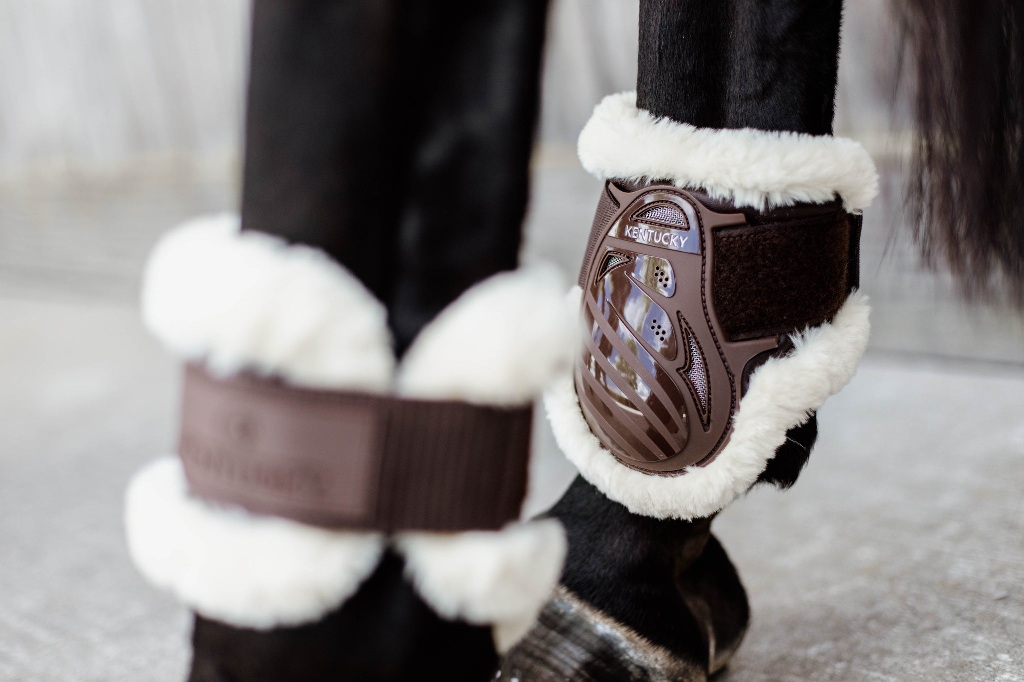 Kentucky Brown Sheepskin Young Horse Fetlock Boots Air