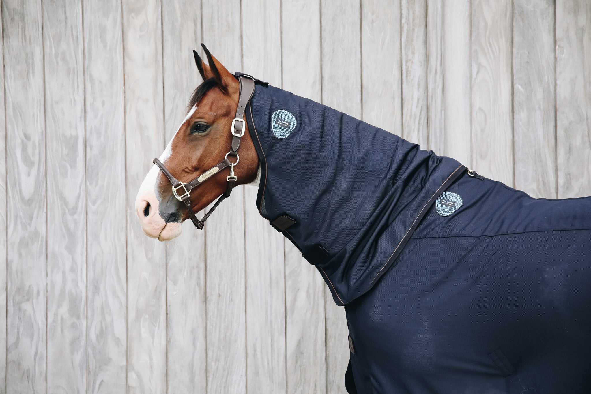 This Magnetic Neck Recuptex uses the same Recuptex fabric technology that has proven to be state of the art. Based on the Bekaert BEKINOX® technology, they contain the finest inox yarn (a stainless-steel fiber) that is woven into the fabric. It creates a Faraday cage which reflects the magnetic fields created in the horse&