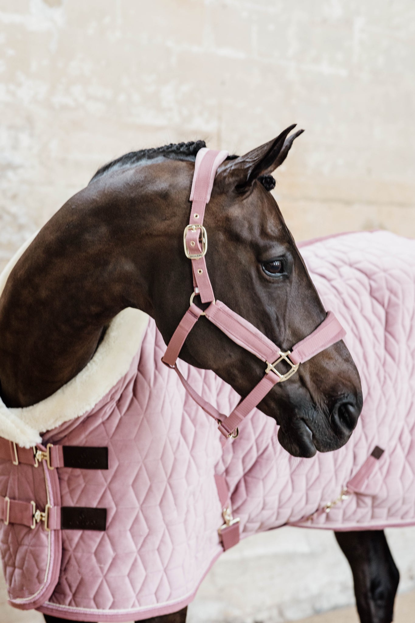 Kentucky Pink Velvet Show Rug