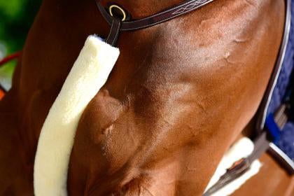Kentucky Sheepskin Breast Plate Cover