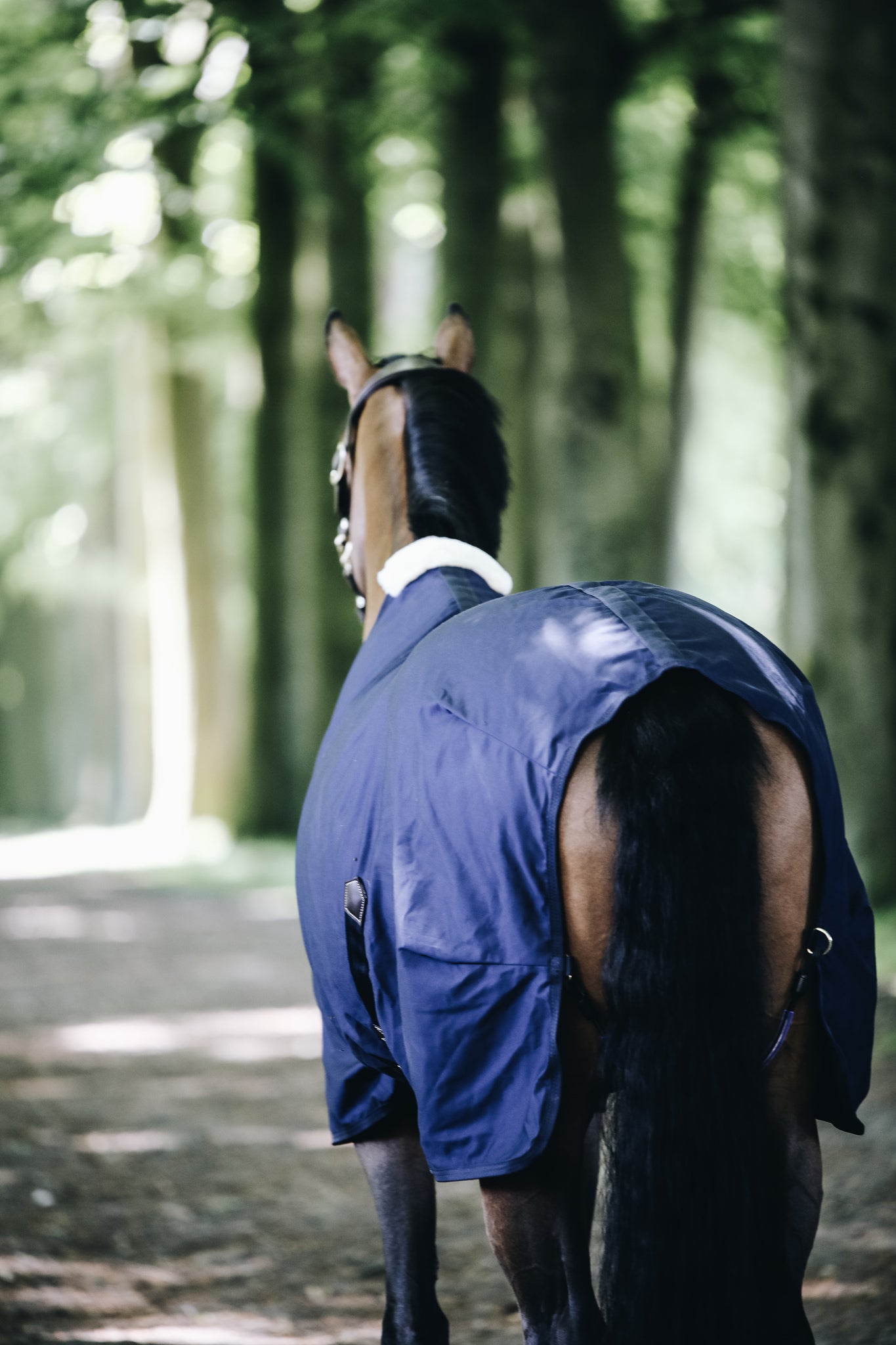 The Kentucky cotton sheet is perfect as the weather gets warmer. The Cotton Sheet is a practical lightweight luxury horse rug that will keep your horse comfortable during the summer months. Fitted with Kentucky’s soft artificial sheepskin which is added to the wither only which provides extra comfort and protection for your horse.