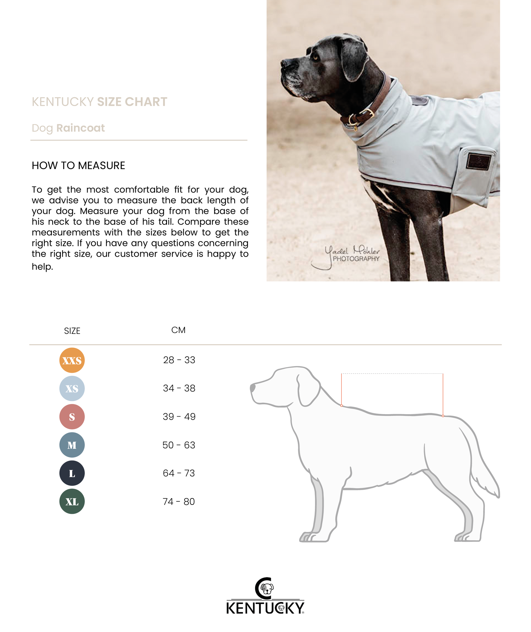The Kentucky dog rain coat. This coat is reflective and waterproof, sure to keep your dog safe and dry through the winter. It is lightweight and breathable to protect your dog from bad weather, when they may not need an extra layer or too much warmth.