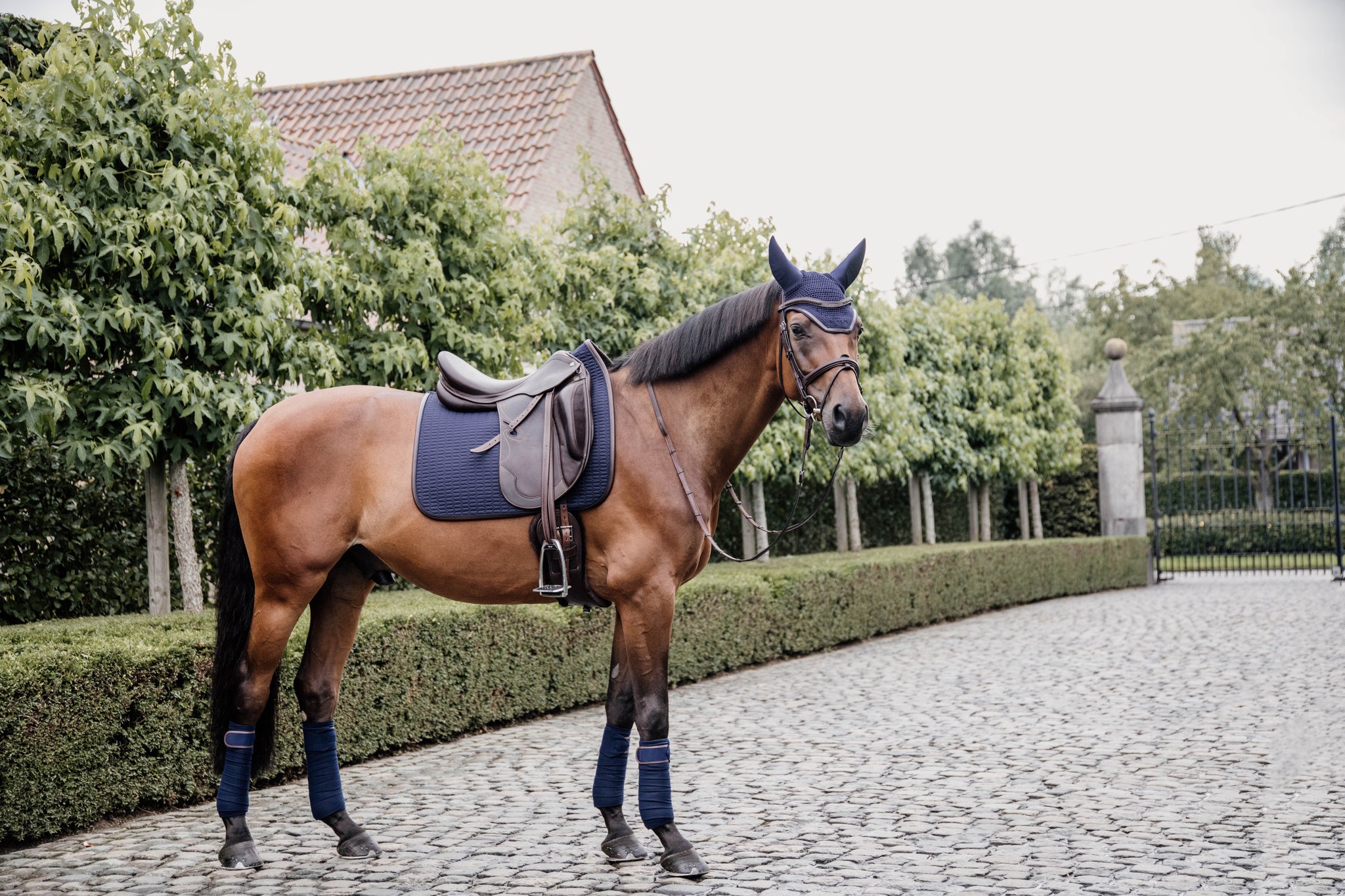 This classy Kentucky dressage pad is designed with beautiful wave quilting and finished with a brown vegan leather trim and logo.