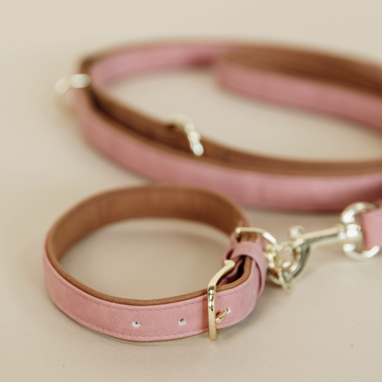 The Kentucky Dog Collar Velvet Leather has a very classy “velvet” look on the outside thanks to the microfiber material. On the inside we used artificial leather. The collar is extremely practical and easy to clean. The Dog Collar Velvet Leather features gold buckle , stay and a ring to attach the Kentucky matching Dog Lead