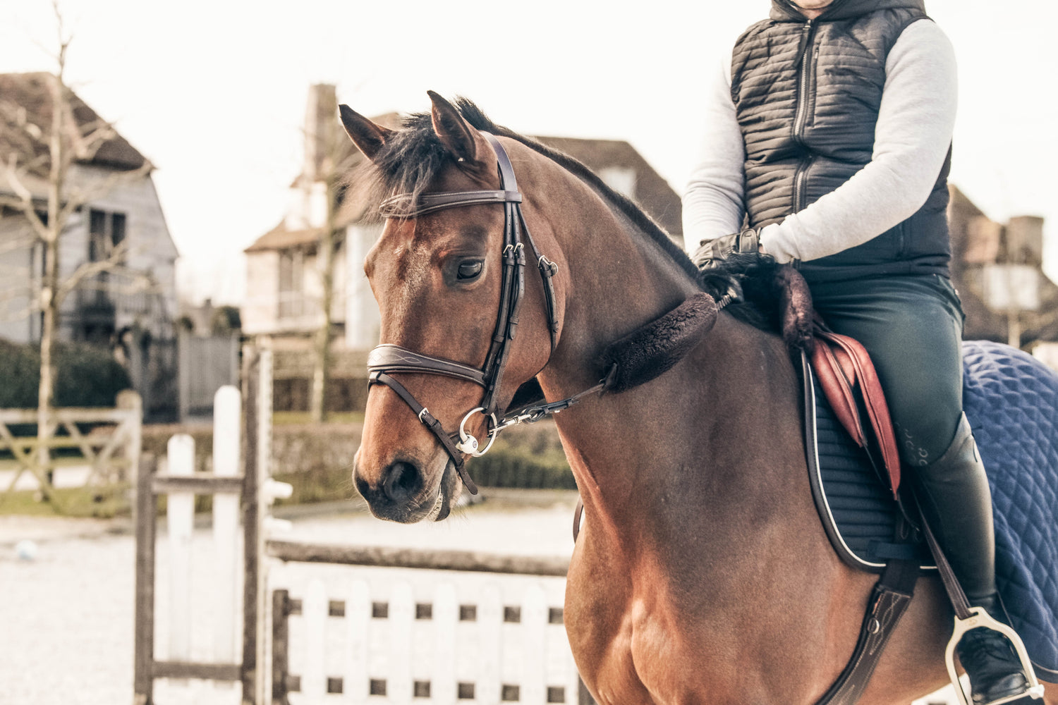Kentucky Sheepskin Nose Band Cover