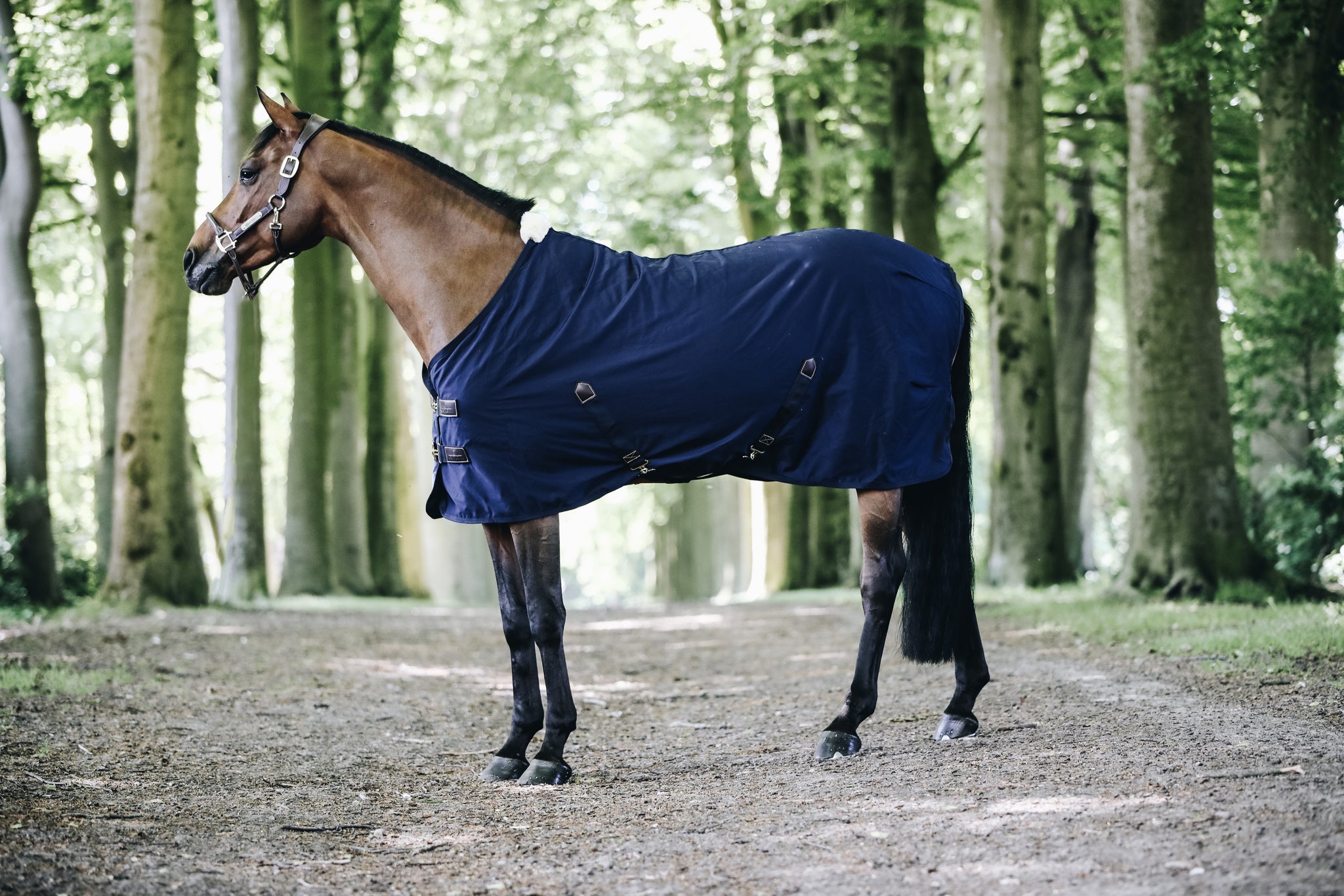 The Kentucky cotton sheet is perfect as the weather gets warmer. The Cotton Sheet is a practical lightweight luxury horse rug that will keep your horse comfortable during the summer months. Fitted with Kentucky’s soft artificial sheepskin which is added to the wither only which provides extra comfort and protection for your horse.