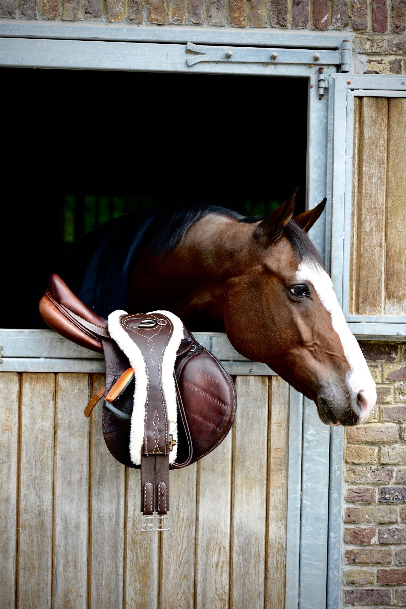 The Kentucky anatomical girth with sheepskin lining. This girth is made from artificial leather, making it softer, more durable and easier to maintain and clean. The faux sheepskin is removable, making it easier to watch and re attaches with strong Velcro. A silver hope and carabiner is found underneath to attach your martingale, breastplate, draw reigns etc. The girth is available in black or brown.