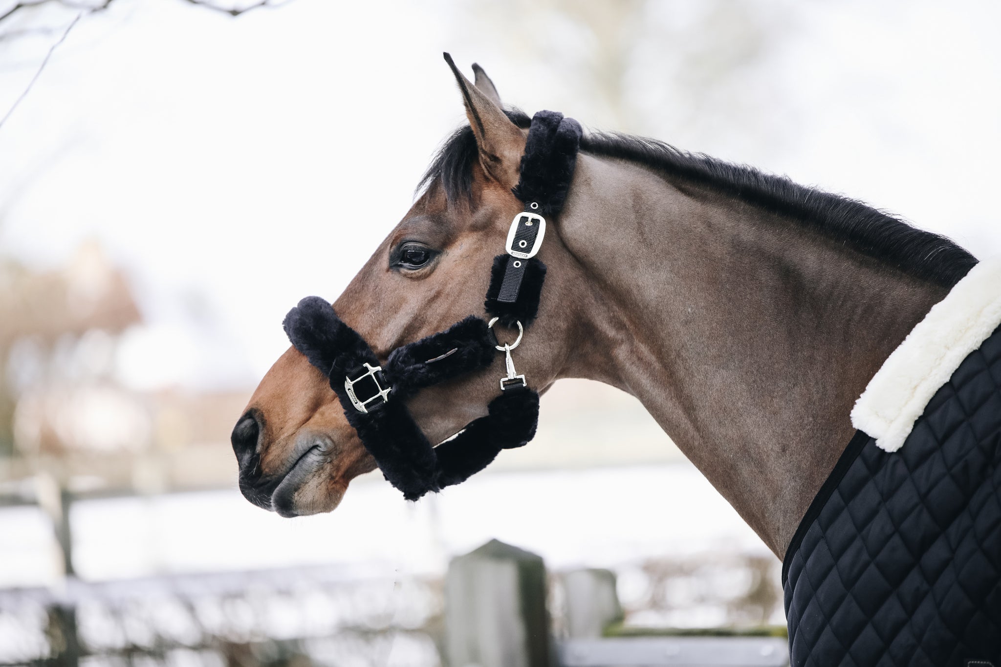 The Kentucky Horsewear Sheepskin Shipping Halter is an extremely soft and comfortable halter mainly used during transportation.