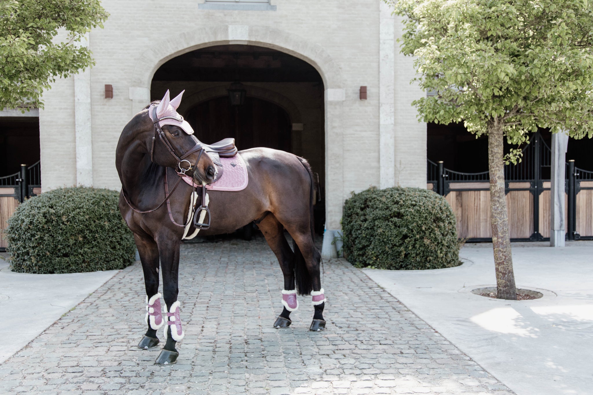 Kentucky Vegan Tendon Boots Bamboo Shield with Elastic fastenings are now available following years of research and development. The Kentucky Bamboo Shield Replaces the Kentucky Tendon Boot.