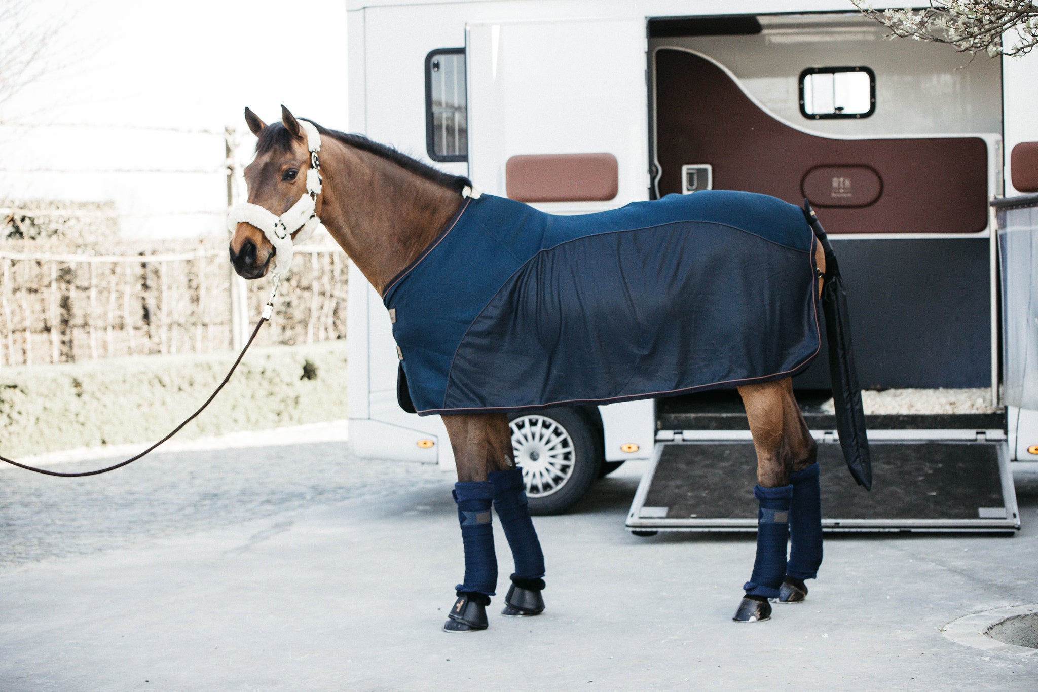 Kentucky Mesh Combo Cooler Sheet