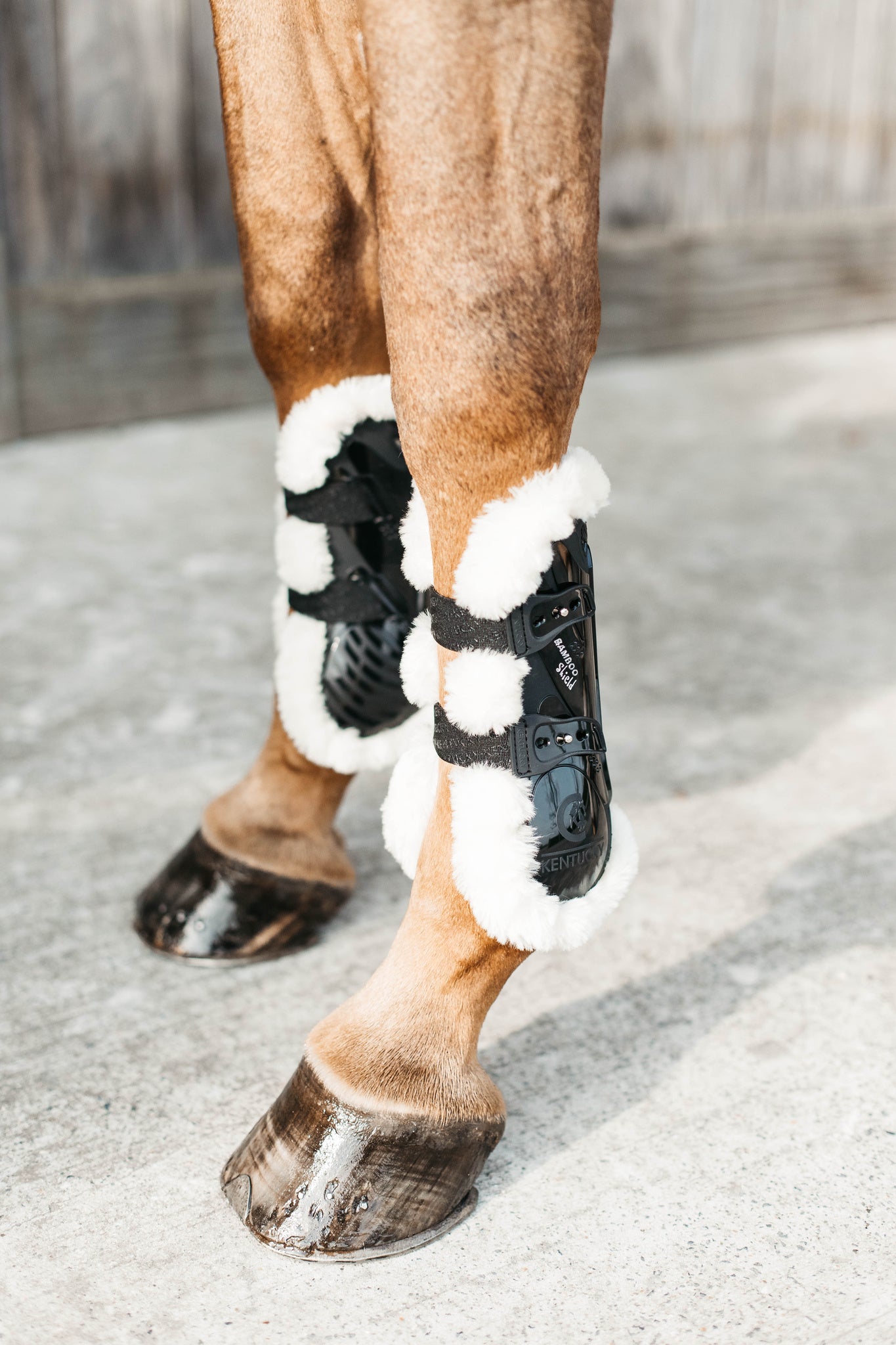 Kentucky Vegan Sheepskin Tendon Boots Bamboo Shield with Elastic fastenings are now available following years of research and development. The Kentucky Bamboo Shield Replaces the Kentucky Tendon Boot.