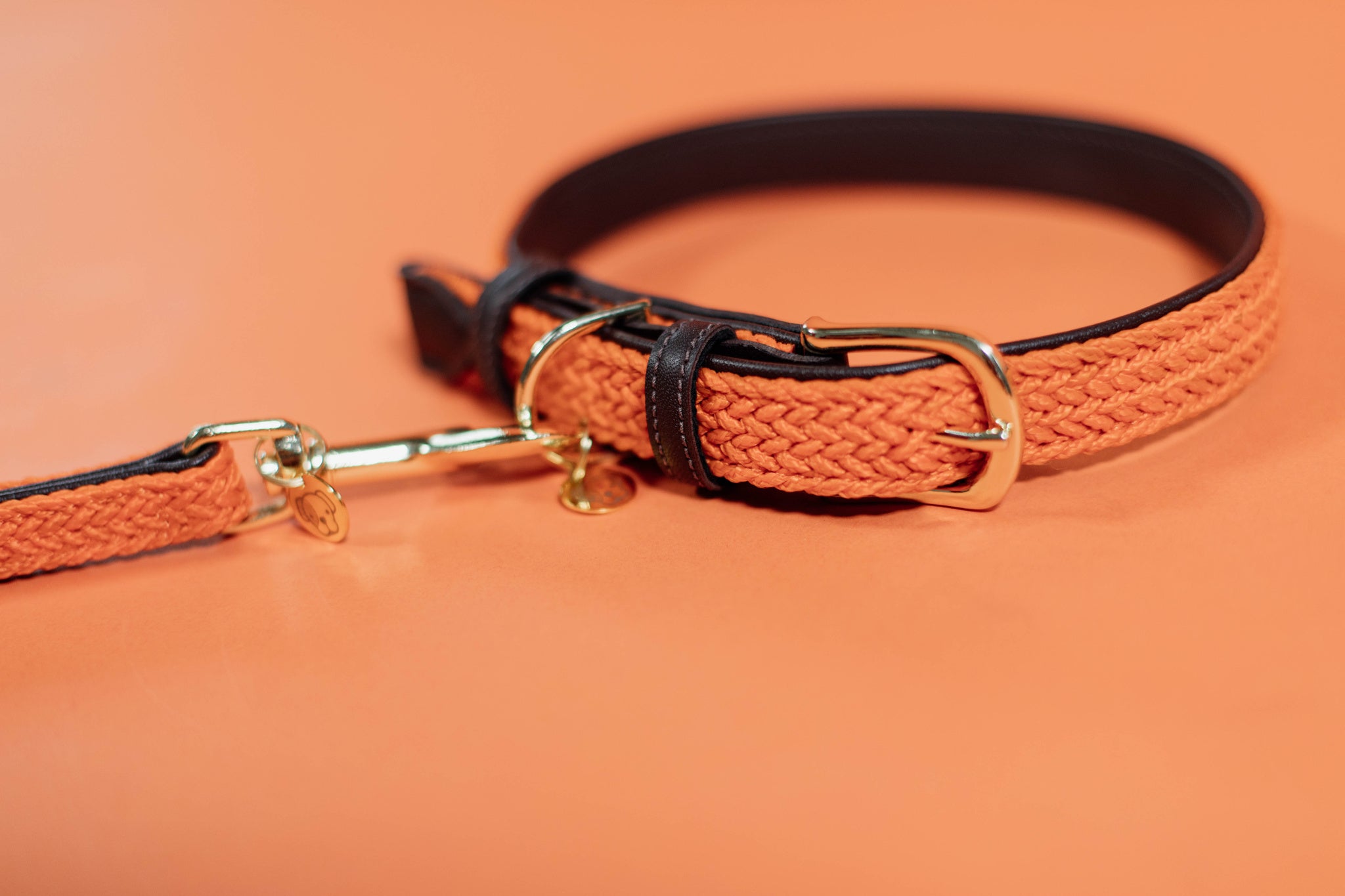 Kentucky Plaited Nylon Dog Collar