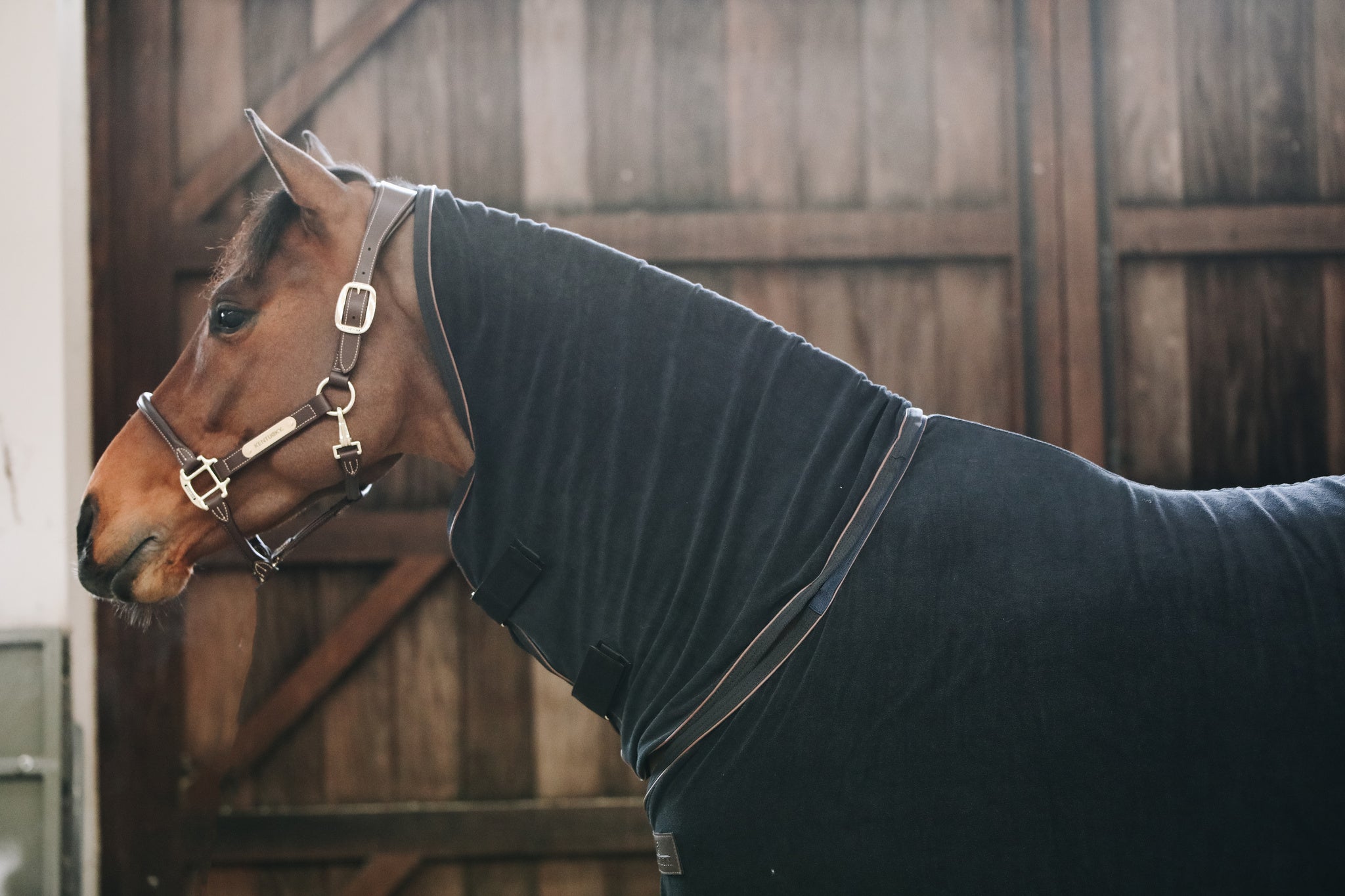 The Kentucky Horsewear Towel Rug is a comfortable and super absorbent towel for horses. The Horse Towel is the perfect rug to dry your horse extremely fast after training and also bathing.