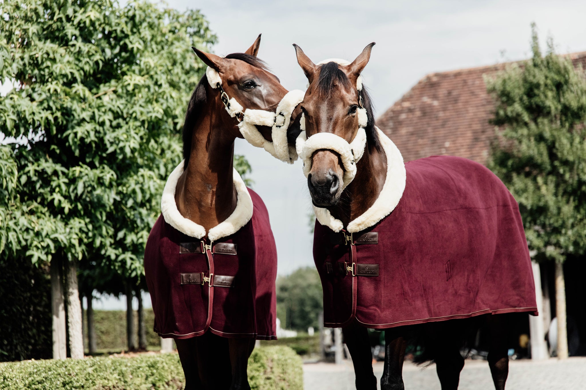 Kentucky Fleece Show Rug Heavy – Bordeaux The Heavyweight Fleece Show Rug in Bordeaux is NEW for 2020. With all the same characteristics of the original Heavyweight Fleece Show Rug, the Bordeaux will be sort after this year. With the look and hand feel of the authentic wool rug, without all the inconveniences that a wool rug can have.